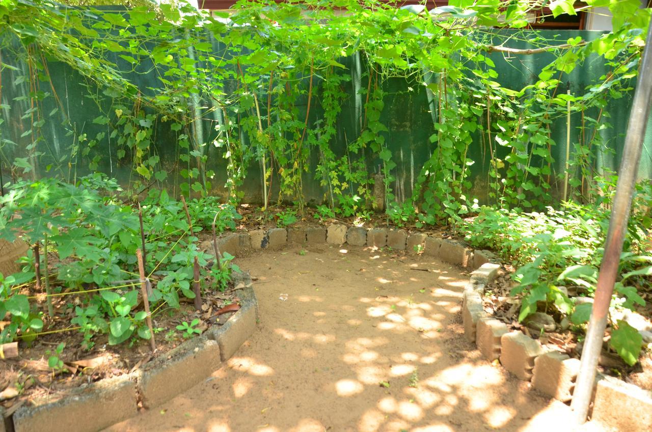 Villa Eco Green Negombo Luaran gambar